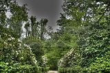 tannenfeld-sommer 2012-093